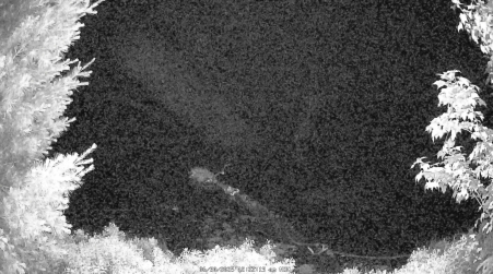 Image from 2025-06-30