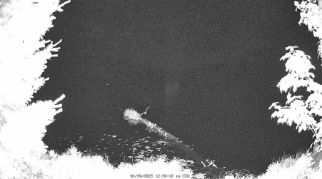 Image from 2025-06-30