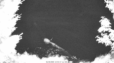 Image from 2025-06-30