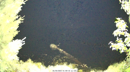 Image from 2025-06-30