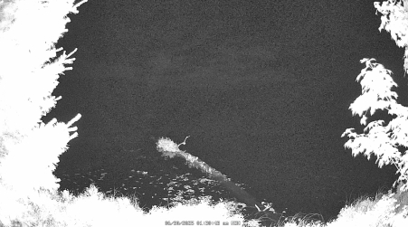 Image from 2025-06-30