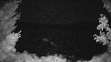 Image from 2025-06-30