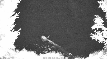 Image from 2025-06-30