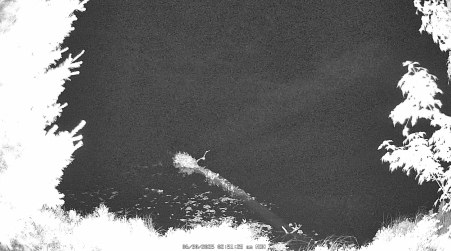 Image from 2025-06-30