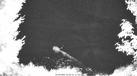 Image from 2025-06-30