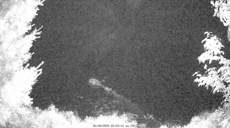 Image from 2025-06-30