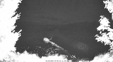 Image from 2025-06-30