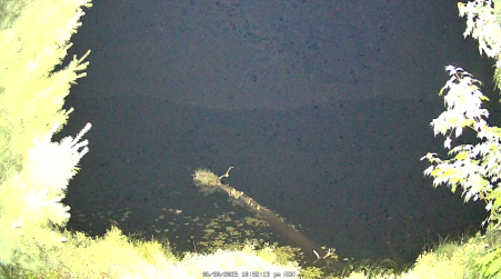 Image from 2025-06-30