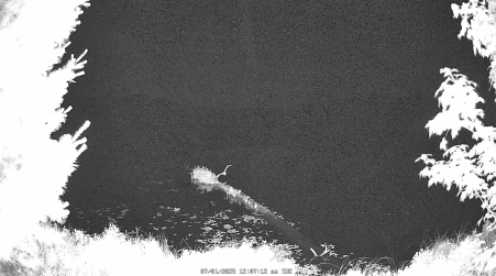 Image from 2025-07-01