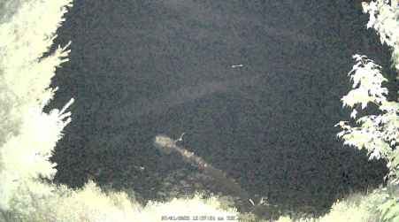 Image from 2025-07-01