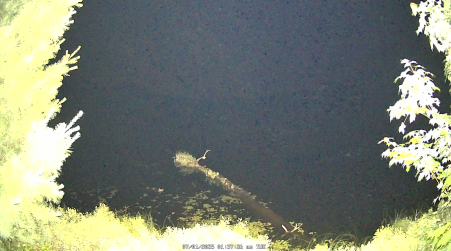 Image from 2025-07-01