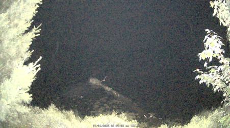 Image from 2025-07-01