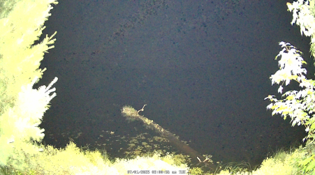 Image from 2025-07-01