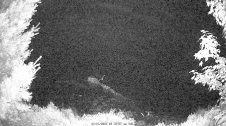 Image from 2025-07-01