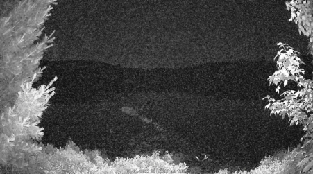 Image from 2025-07-01