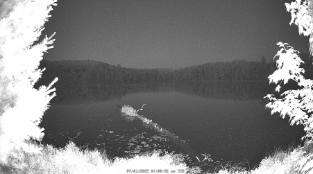 Image from 2025-07-01