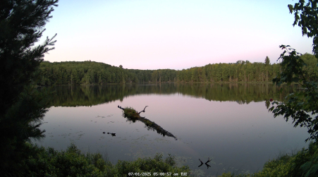 Image from 2025-07-01