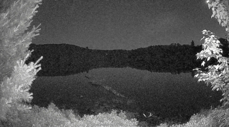 Image from 2025-07-01