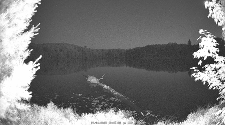 Image from 2025-07-01