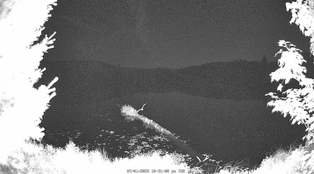 Image from 2025-07-01