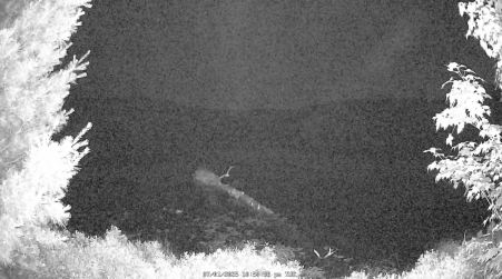 Image from 2025-07-01