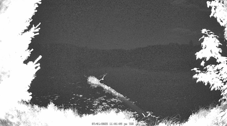 Image from 2025-07-01