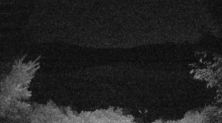 Image from 2025-07-01