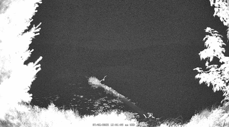 Image from 2025-07-02
