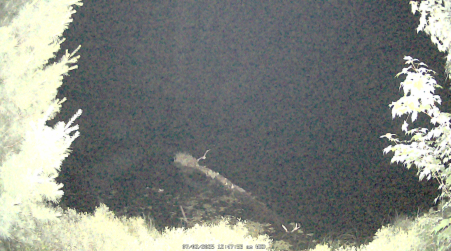 Image from 2025-07-02