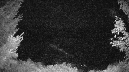 Image from 2025-07-02