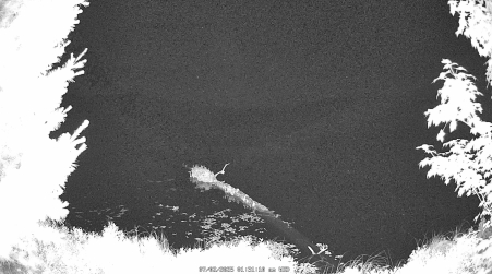 Image from 2025-07-02
