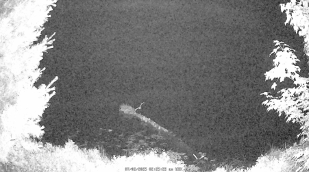 Image from 2025-07-02