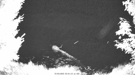 Image from 2025-07-02