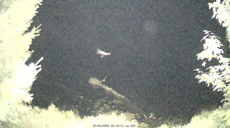 Image from 2025-07-02