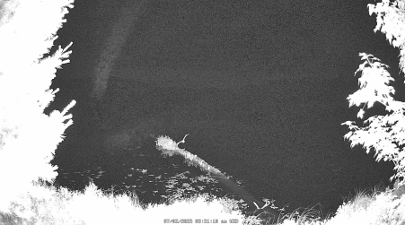 Image from 2025-07-02