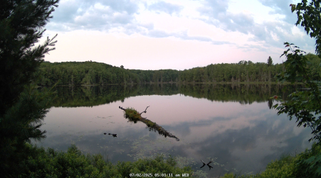 Image from 2025-07-02