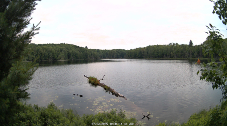 Image from 2025-07-02
