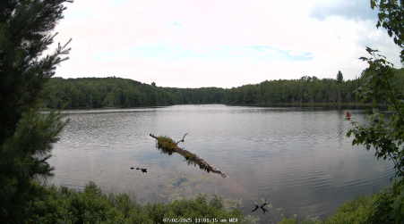 Image from 2025-07-02