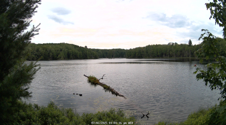 Image from 2025-07-02