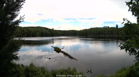 Image from 2025-07-02