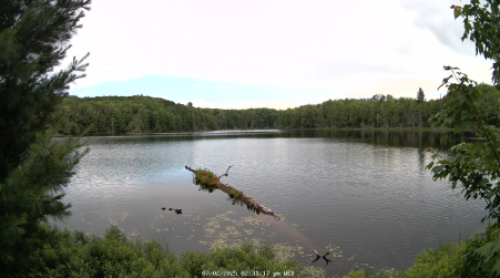 Image from 2025-07-02