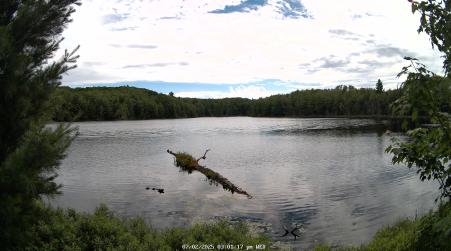 Image from 2025-07-02