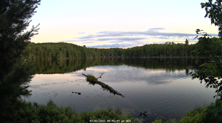 Image from 2025-07-02