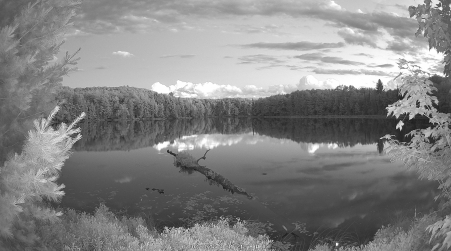 Image from 2025-07-02