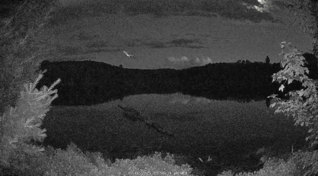 Image from 2025-07-02
