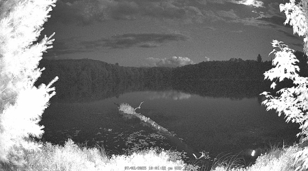 Image from 2025-07-02