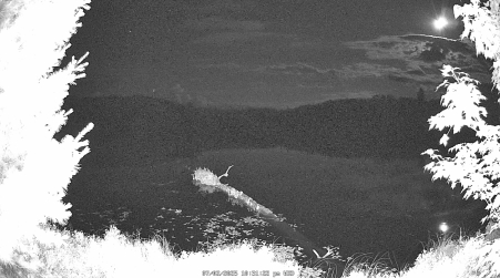 Image from 2025-07-02