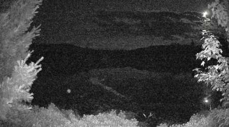 Image from 2025-07-02