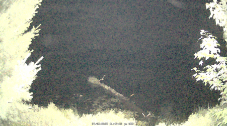 Image from 2025-07-02
