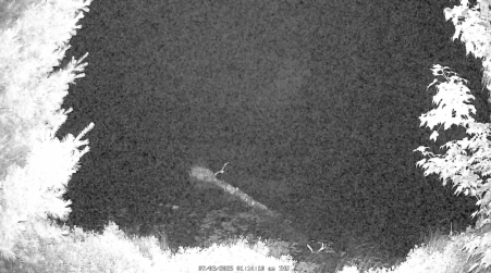 Image from 2025-07-03